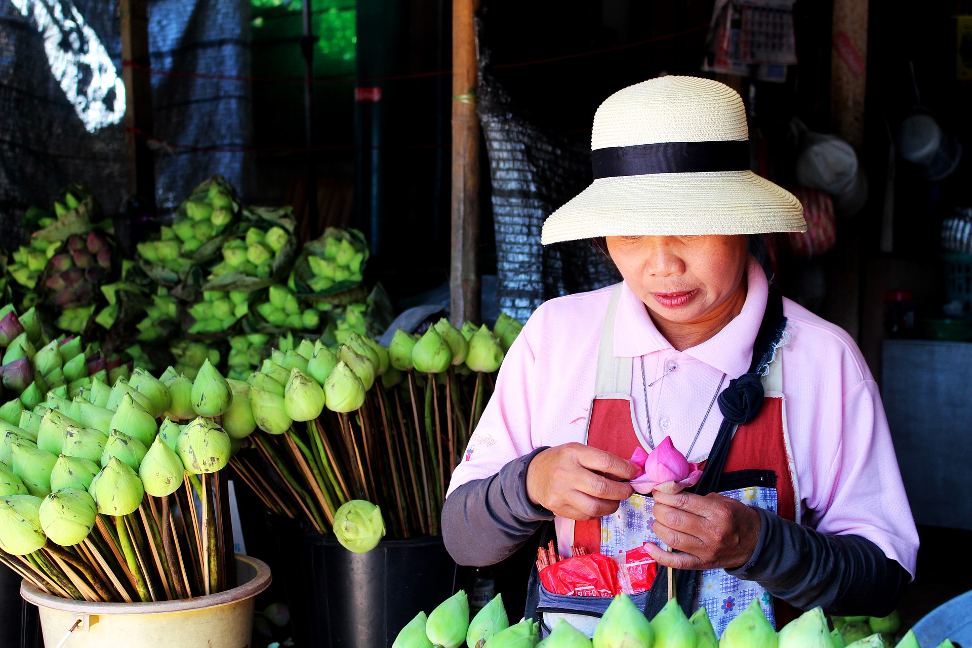Vendor Selling Lotus Flowers