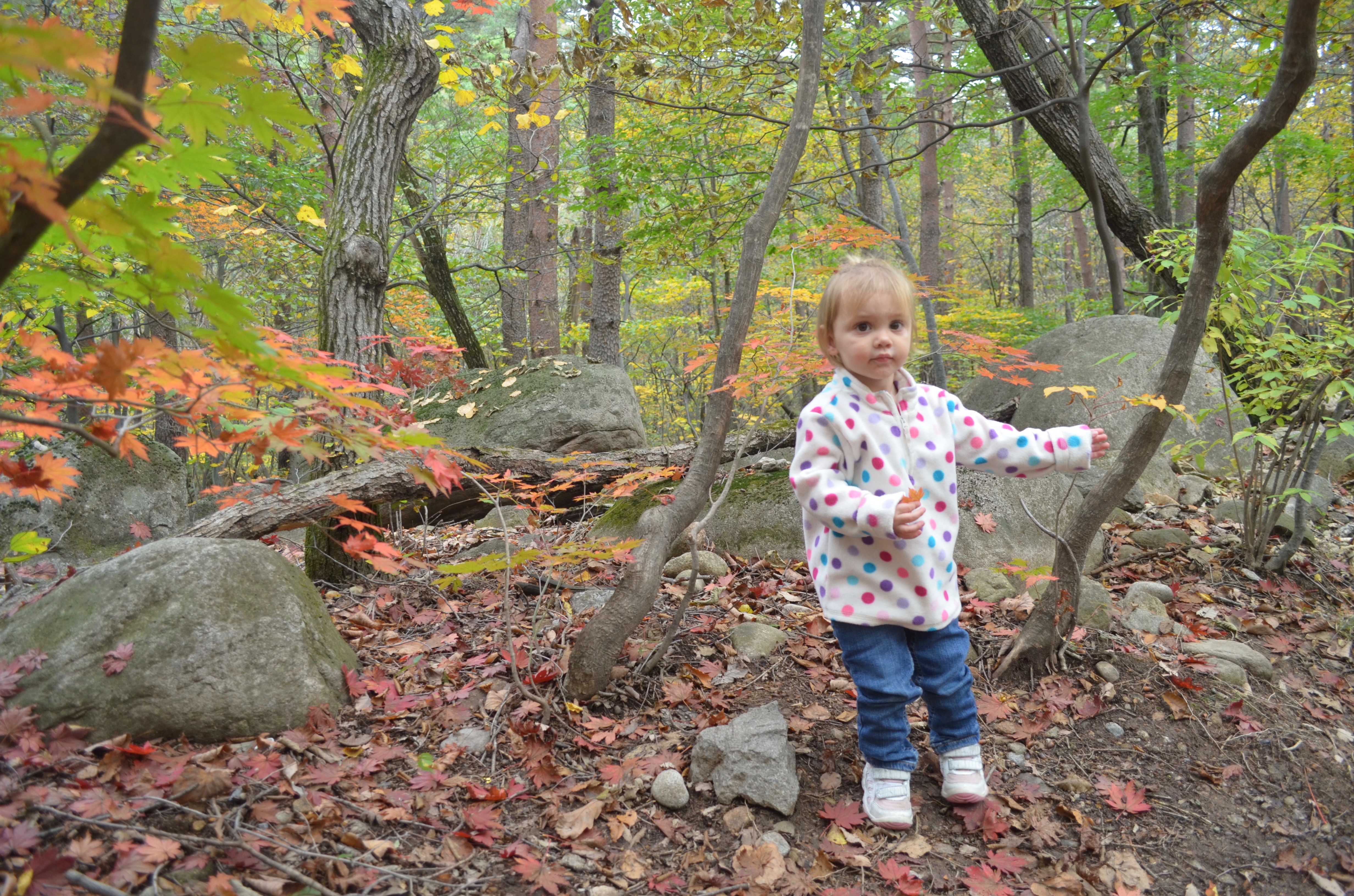 Girl playing in leaves at Seoraksan National Park