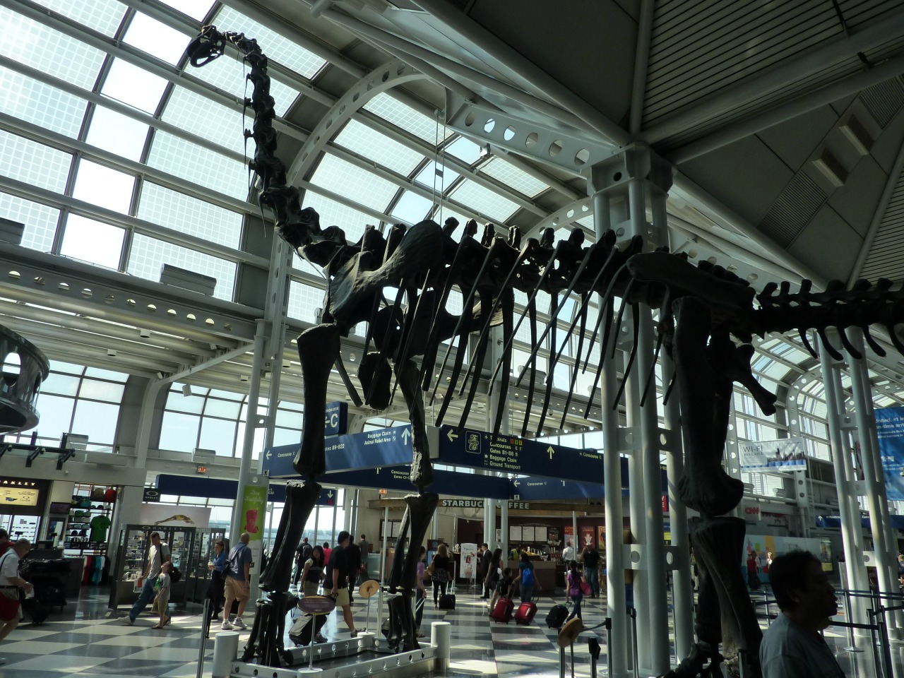 Dinosaur at Chicago O'Hare