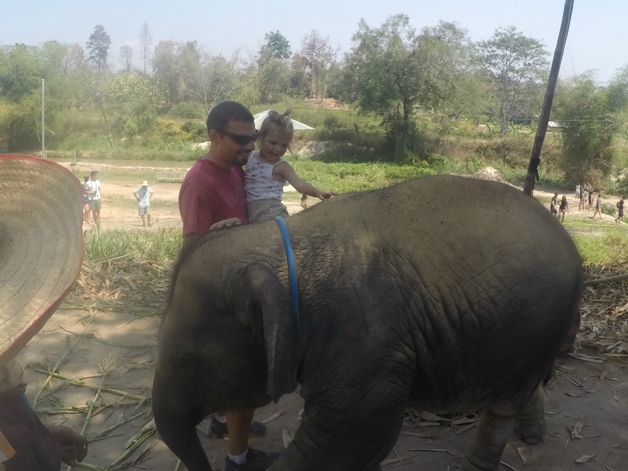 Miss C loved petting the elephants