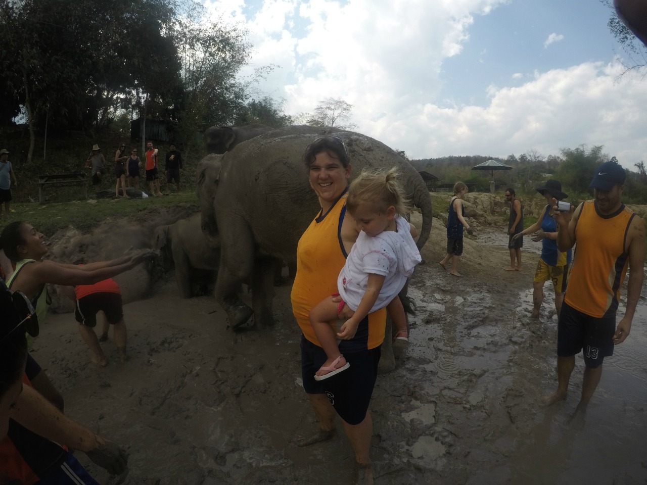 Playing in the mud with Elephants