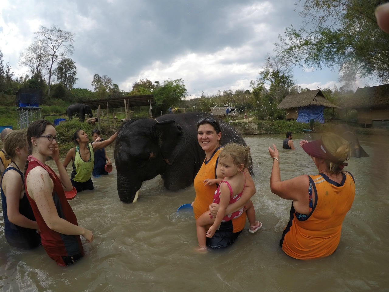Bathing and swimming with the elephants