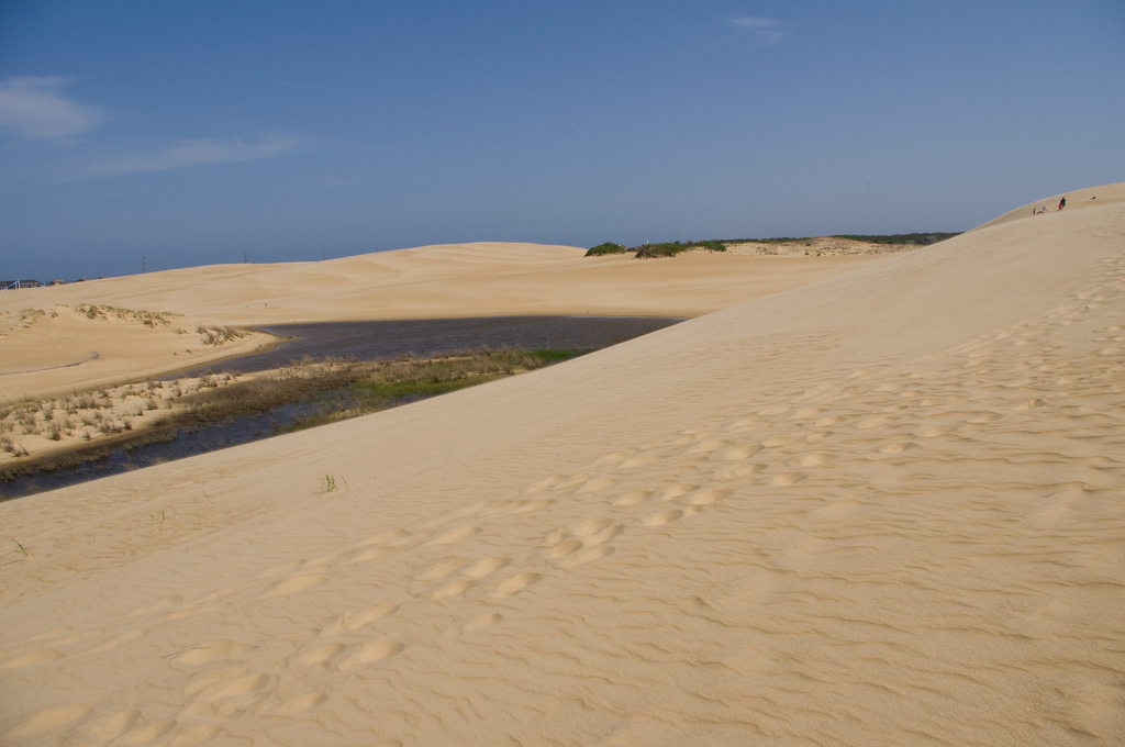 Jockey's Ridge State Park, Outer Banks, North Carolina