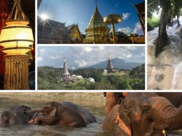 Featured Image things to do in Chiang Mai